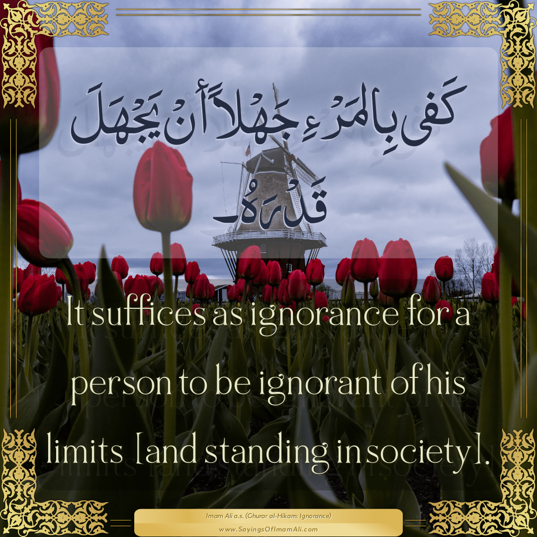 It suffices as ignorance for a person to be ignorant of his limits [and...